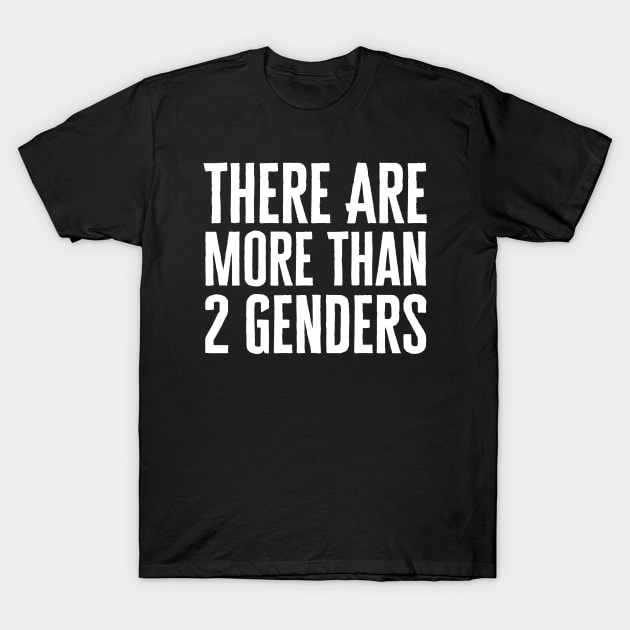 There Are More Than 2 Genders T-Shirt by HobbyAndArt